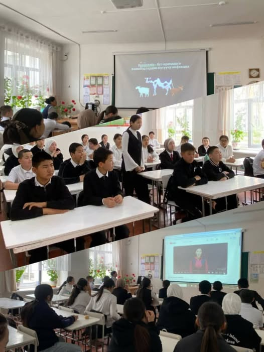 Сергек жашоо образы